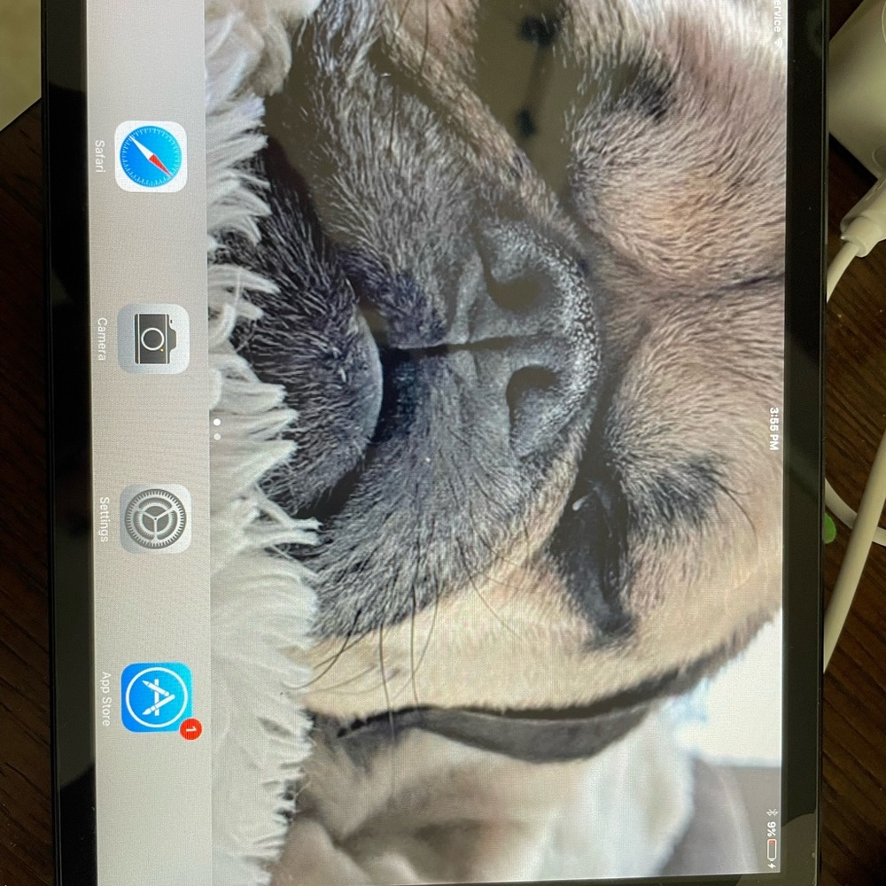 iPad mini 1st generation WiFi + cellular (model A1455) black 16GB